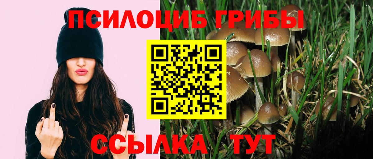 продажа наркотиков  Вход с VPN  Великий Новгород  Галлюциногенные грибы Magic Shrooms 
