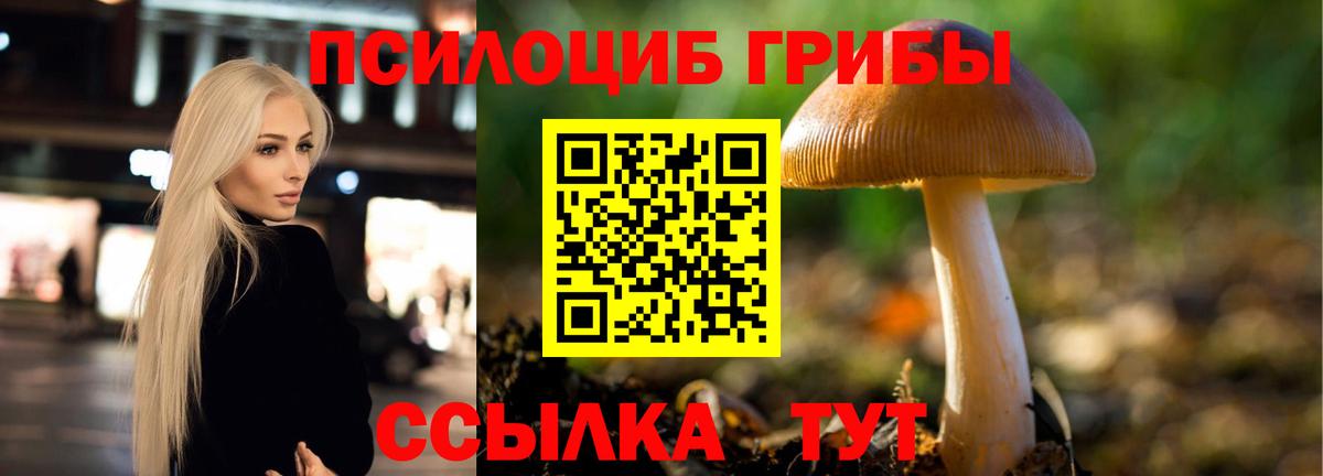 Псилоцибиновые грибы мухоморы Великий Новгород
